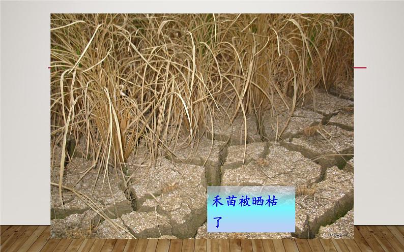 人教版(部编版)小学语文二年级下册 25.羿射九日 课件05