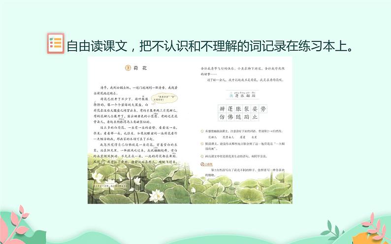 人教版(部编版)小学语文三年级下册 3.荷花 课件第5页