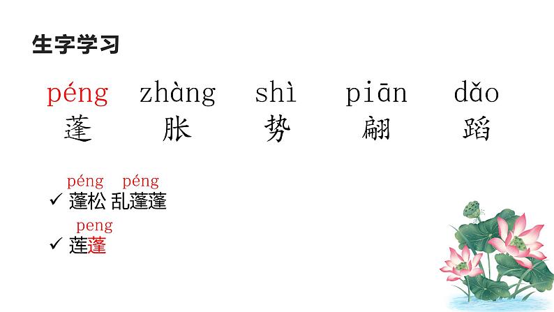 三年级下册 3 荷花课件PPT第4页