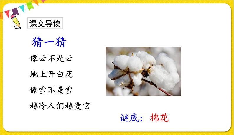 人教部编版(五四制)一年级下册第八单元——19.棉花姑娘课件PPT02