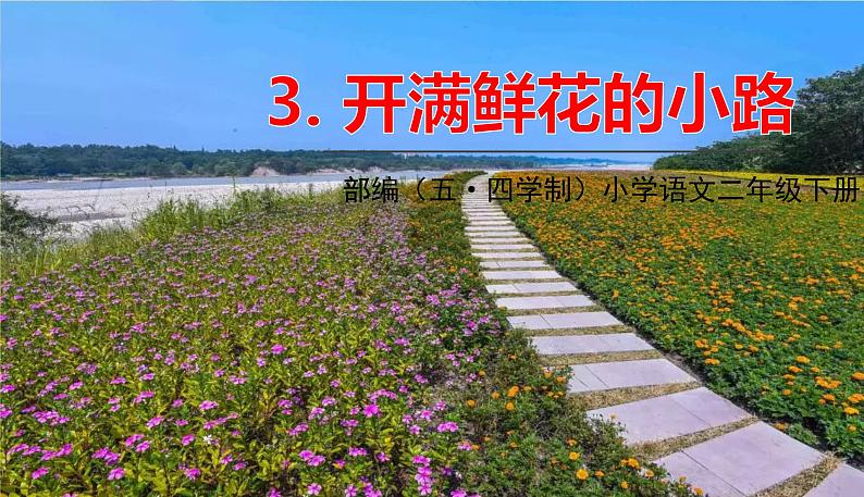 人教部编版(五四制)二年级下册第一单元——3.开满鲜花的小路课件PPT第1页