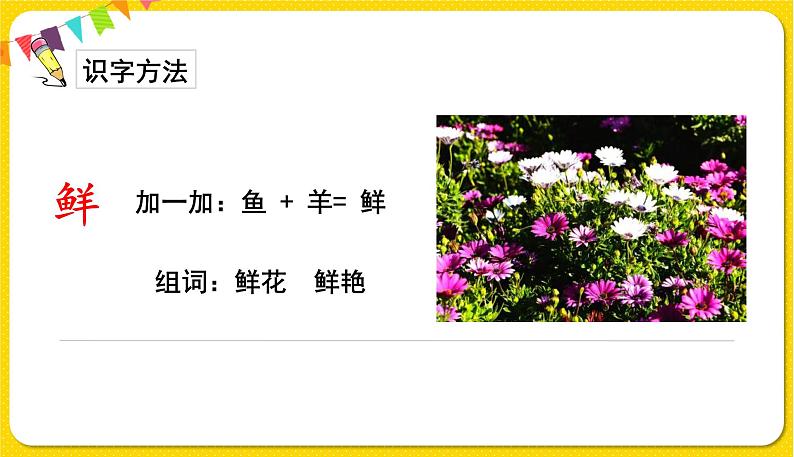 人教部编版(五四制)二年级下册第一单元——3.开满鲜花的小路课件PPT第4页