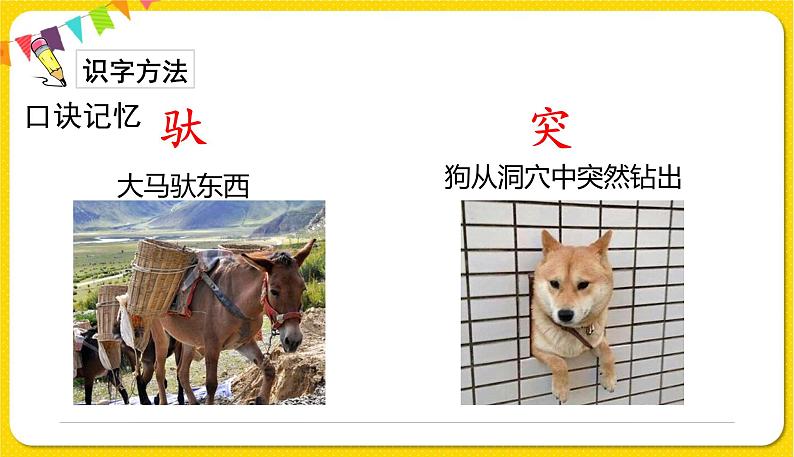 人教部编版(五四制)二年级下册第五单元——14.小马过河课件PPT06