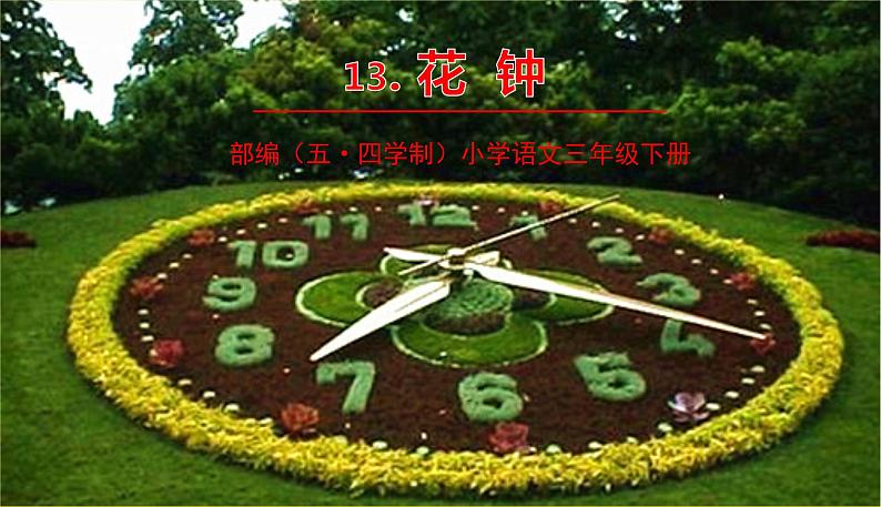 人教部编版(五四制)三年级下册第四单元—13.花钟课件PPT01