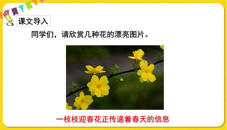 人教部编版(五四制)三年级下册第四单元—13.花钟课件PPT02