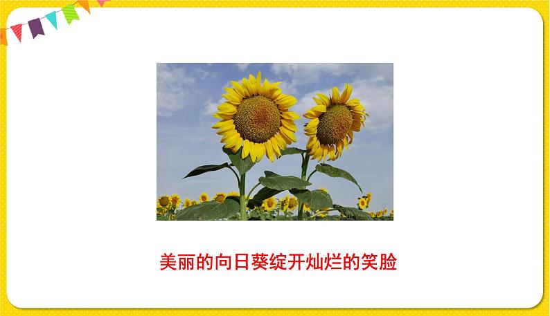 人教部编版(五四制)三年级下册第四单元—13.花钟课件PPT03
