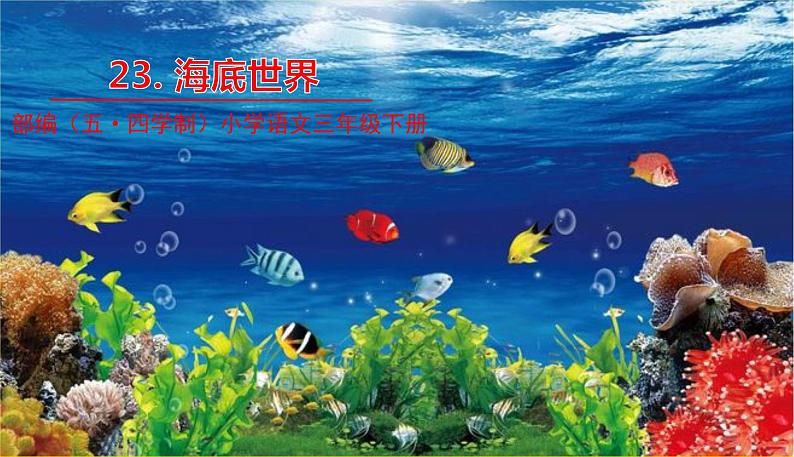 人教部编版(五四制)三年级下册第七单元——23.海底世界课件PPT第1页