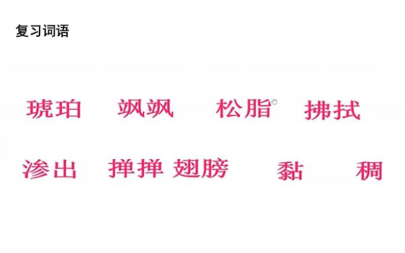 人教版(部编版)小学语文四年级下册 5.琥珀 课件02