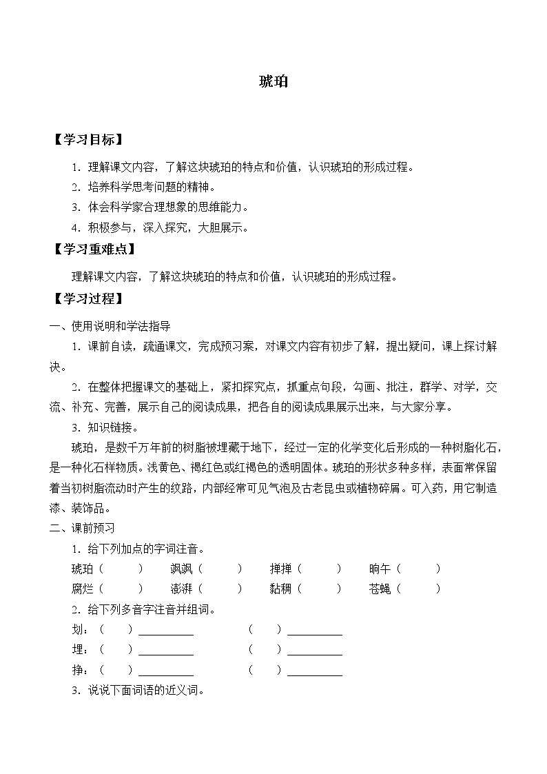 人教版（部編版）小學(xué)語文四年級下冊  5.琥珀  學(xué)案第1頁
