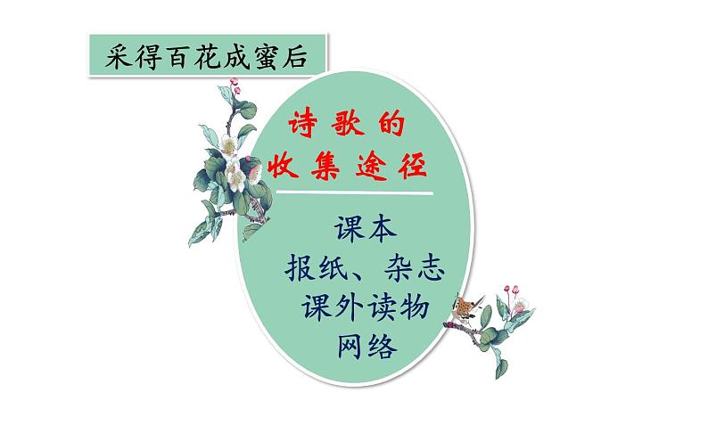 人教版(部编版)小学语文四年级下册 9.短诗三首 繁星(一五九) 课件第3页