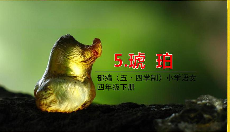 人教部編版（五四制）四年級(jí)下冊(cè)第二單元——5琥珀課件PPT第1頁(yè)