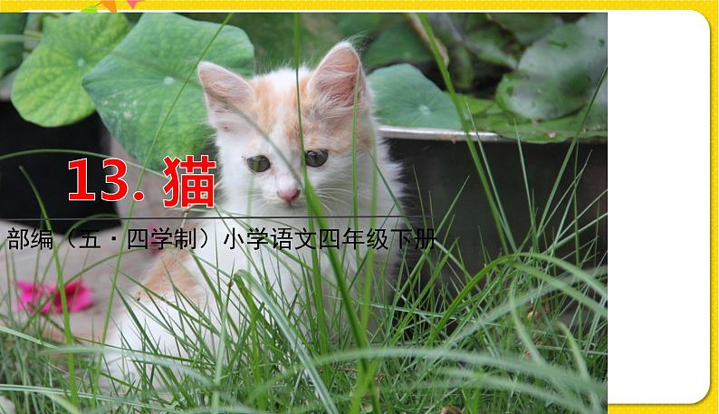 人教部编版(五四制)四年级下册第四单元——13.猫课件PPT01