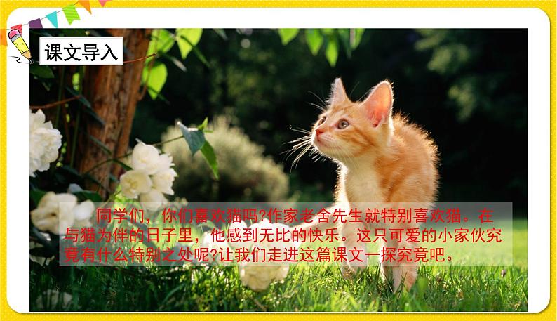 人教部编版(五四制)四年级下册第四单元——13.猫课件PPT03