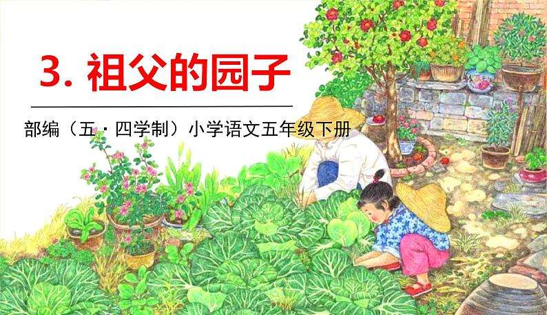 人教部编版(五四制)五年级下册第一单元——3祖父的园子课件PPT01
