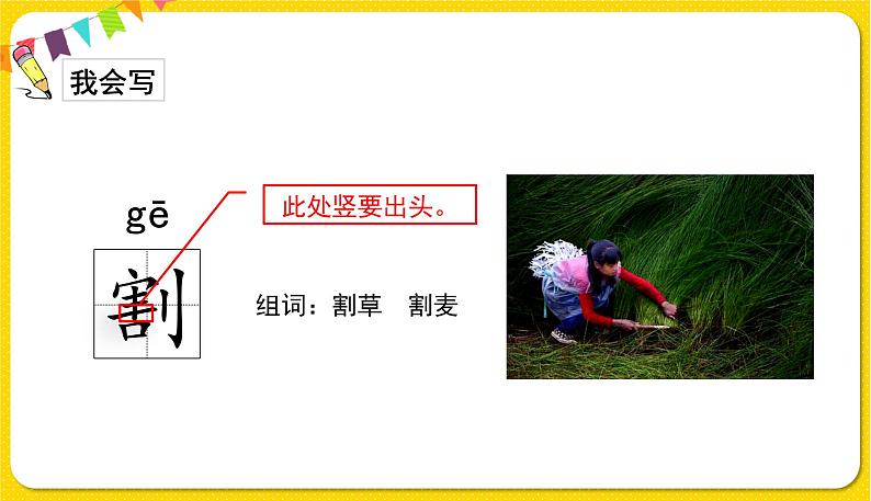 人教部编版(五四制)五年级下册第一单元——3祖父的园子课件PPT07
