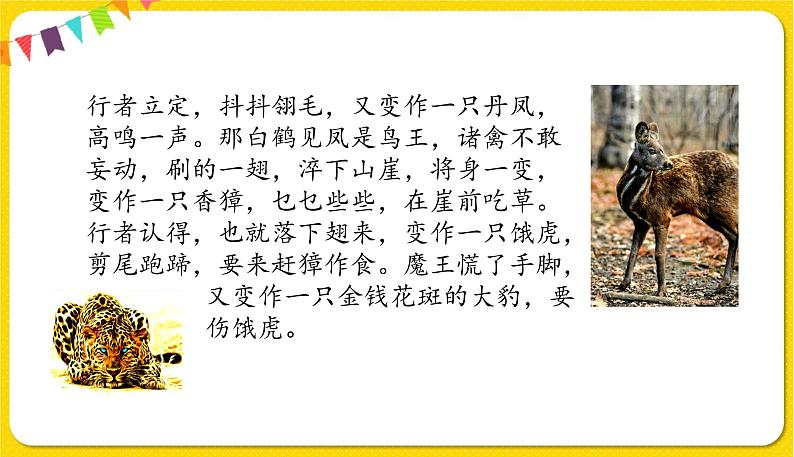 人教部编版(五四制)五年级下册第二单元——快乐读书吧课件PPT07