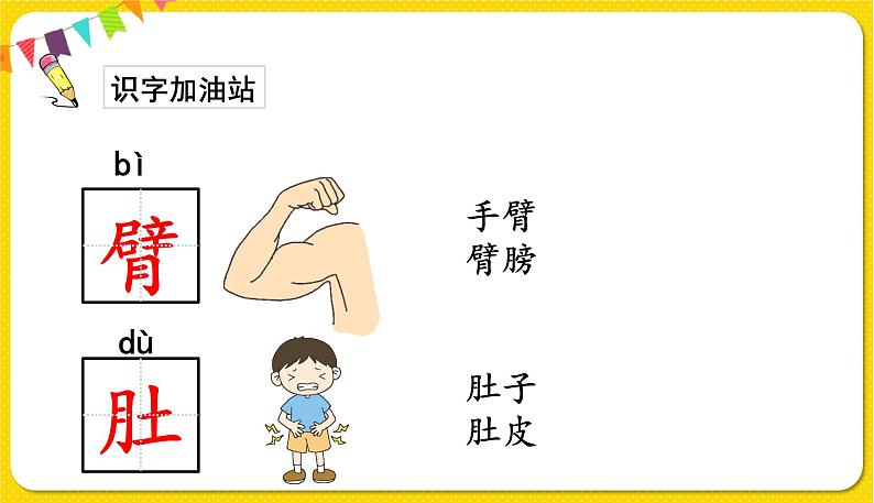 人教部编版(五四制)一年级下册第四单元——语文园地4课件PPT第6页