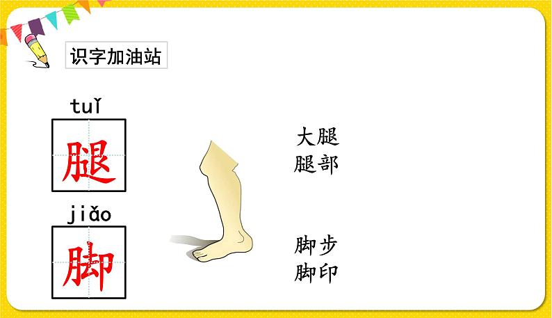 人教部编版(五四制)一年级下册第四单元——语文园地4课件PPT第7页