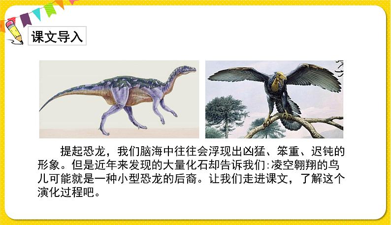 人教部编版(五四制)四年级下册第二单元——6飞上蓝天的恐龙课件PPT第3页