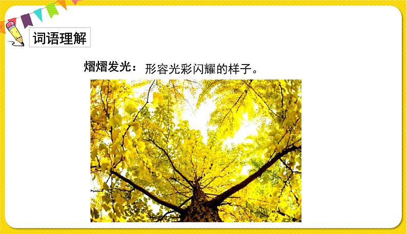人教部编版(五四制)五年级下册第六单元——20金字塔课件PPT第6页