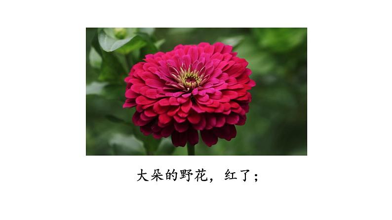 8 彩色的梦 课件(共21张)-部编版 小学语文二年级下册08