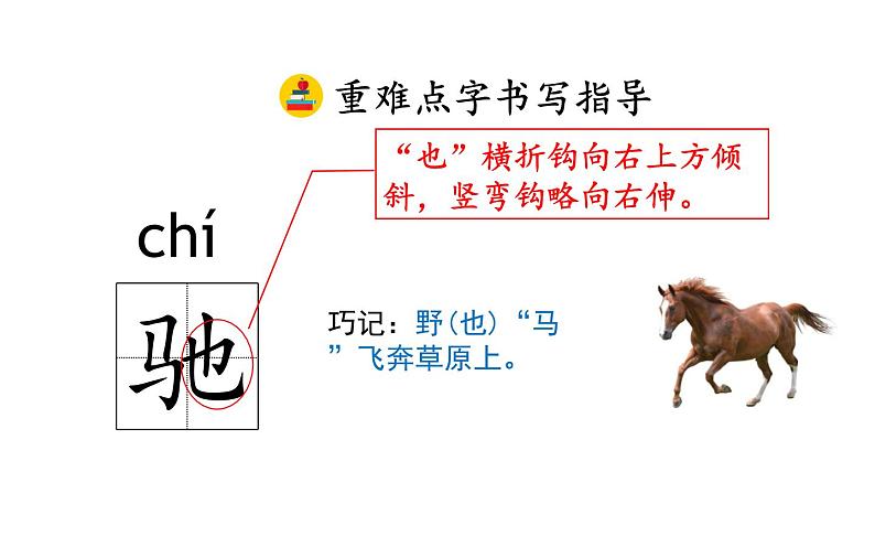 人教版(部编版)小学语文五年级下册 19.牧场之国 课件第5页
