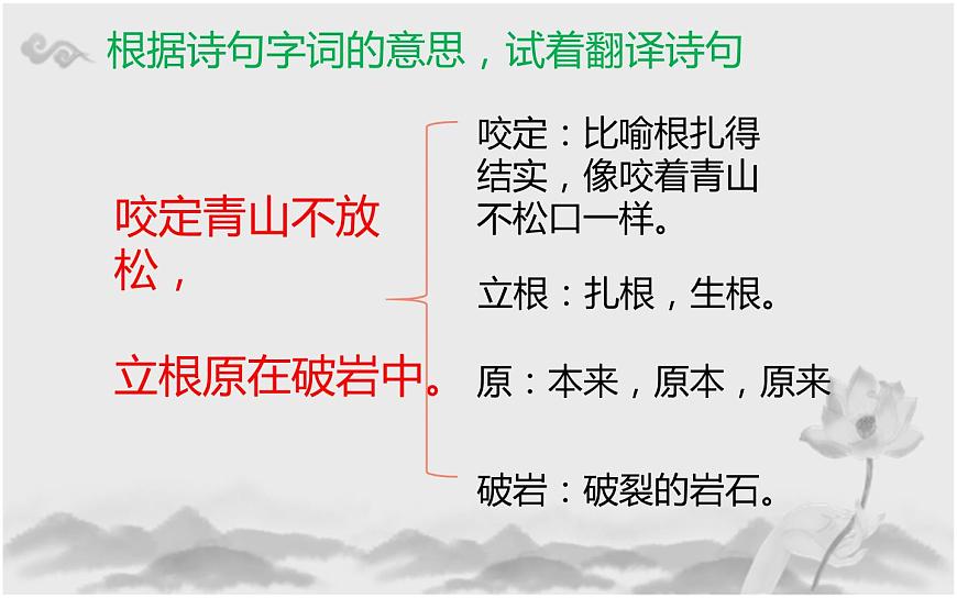 人教版(部編版)小學(xué)語文六年級下冊 10.古詩三首 竹石 課件第7頁