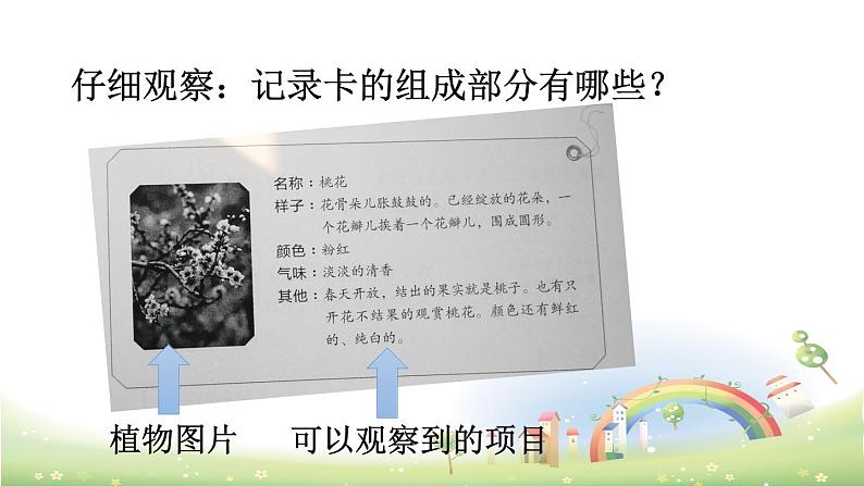 人教语文3年级下册 第一单元 习作:我的植物朋友 PPT课件03