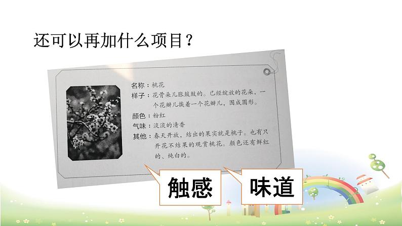 人教语文3年级下册 第一单元 习作:我的植物朋友 PPT课件04