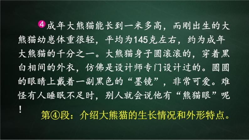 三年级下册语文 第7单元习作 国宝大熊猫 PPT课件（共2课时）05