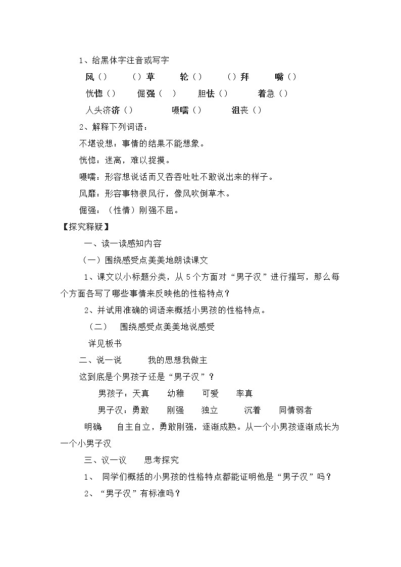 20.《我们家的男子汉》【教案】第2页