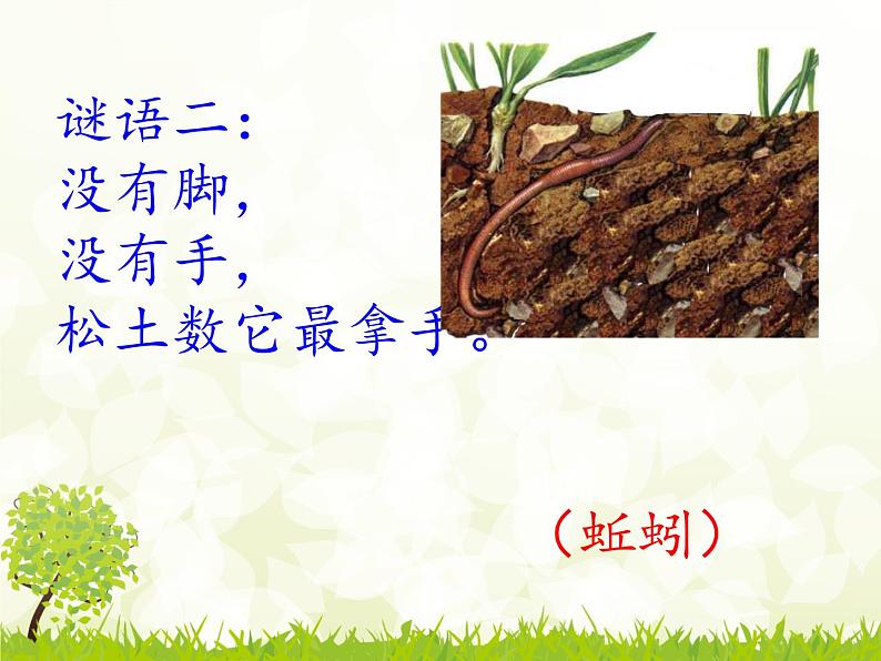 部编版一年级下册语文5动物儿歌师成娟课件PPT第3页
