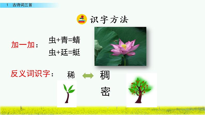 1 古诗词三首第6页