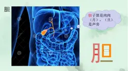 课文9 夜色 趣味识字 生字教学课件PPT