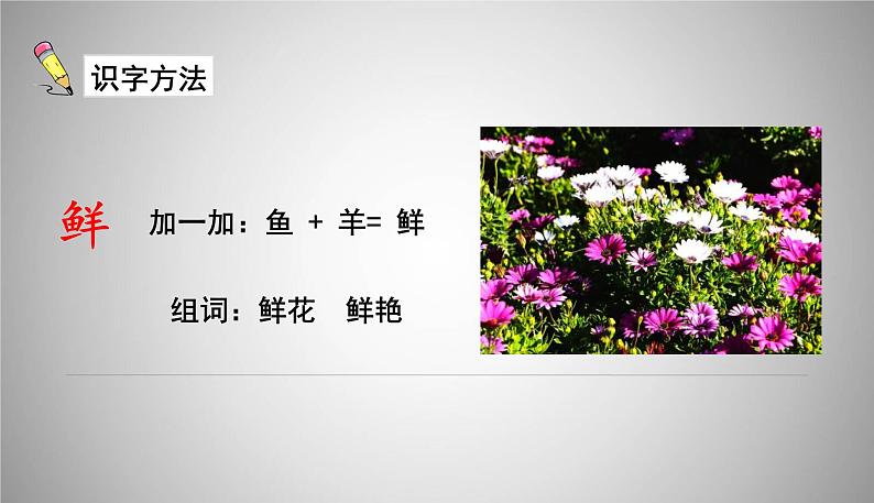3.开满鲜花的小路课件PPT第4页