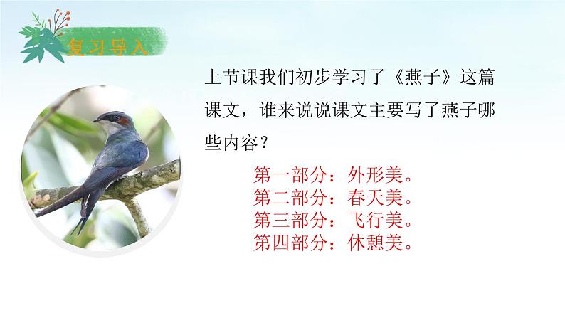 部编版语文三年级下册 2 燕子课件PPT第3页