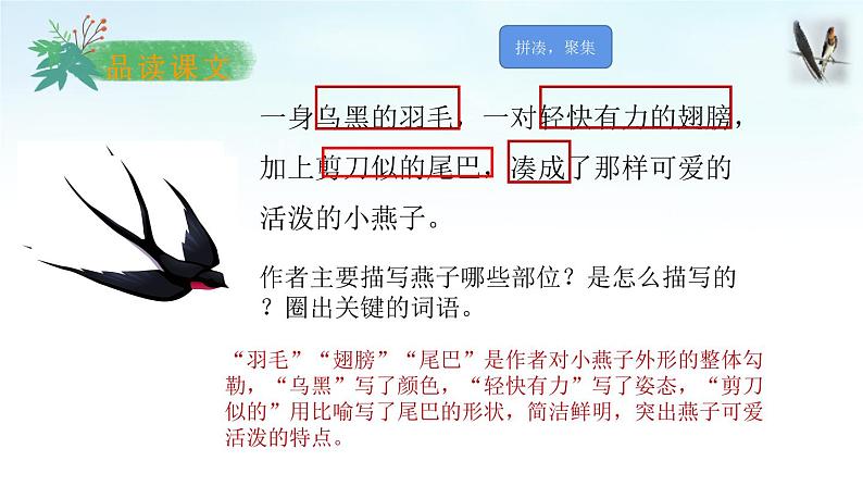 部编版语文三年级下册 2 燕子课件PPT第4页