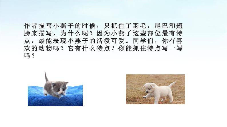 部编版语文三年级下册 2 燕子课件PPT第5页