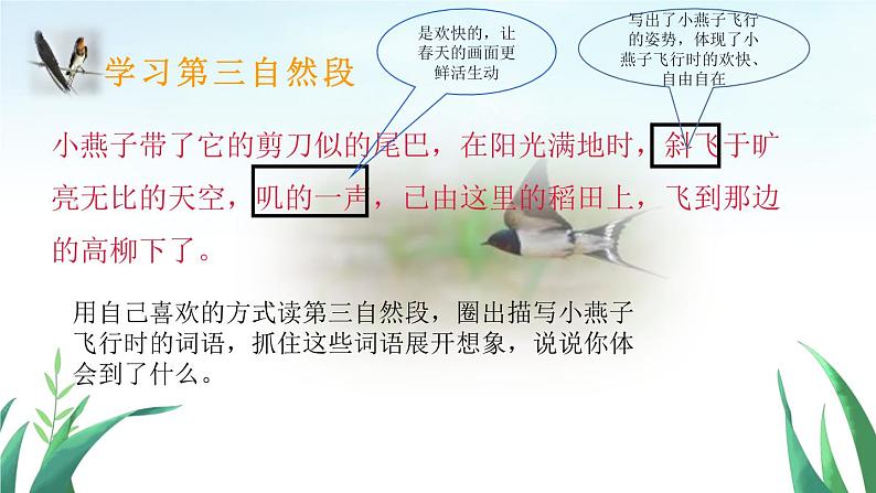 部编版语文三年级下册 2 燕子课件PPT第6页