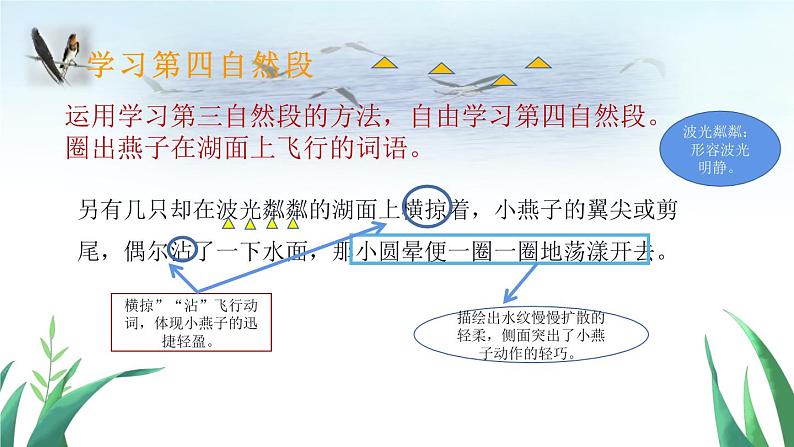 部编版语文三年级下册 2 燕子课件PPT第7页