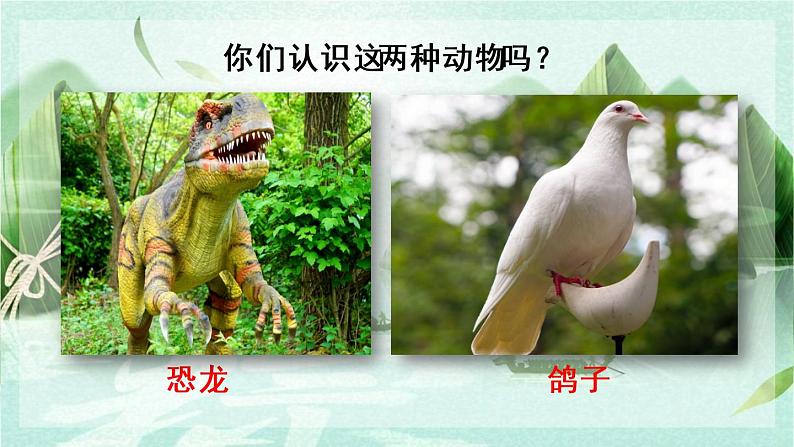 部编版语文四年级下册 6 飞向蓝天的恐龙课件PPT01