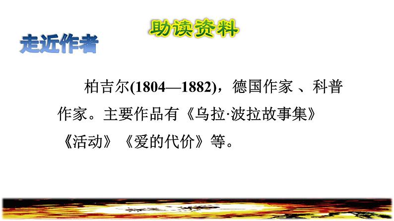 5.琥珀初读感知课件第2页