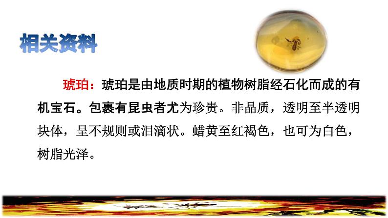 5.琥珀初读感知课件第3页