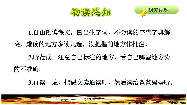 5.琥珀初读感知课件第4页