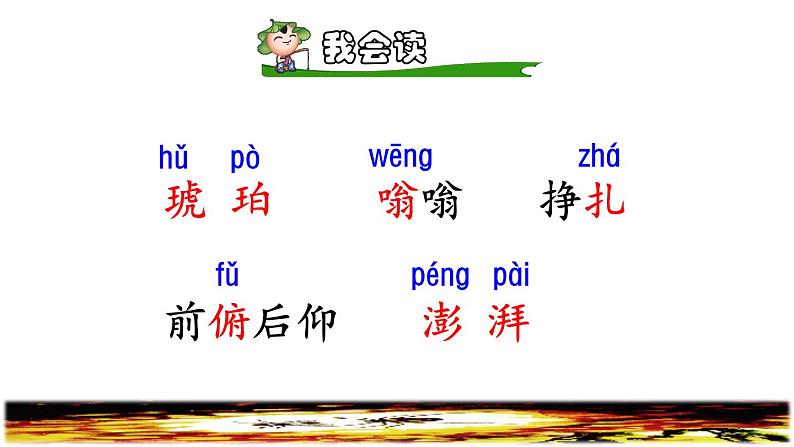 5.琥珀初读感知课件第5页