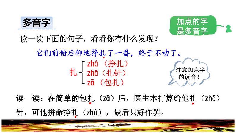 5.琥珀初读感知课件第8页
