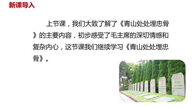语文统编五(下)第4单元10《青山处处埋忠骨》课时2第2页