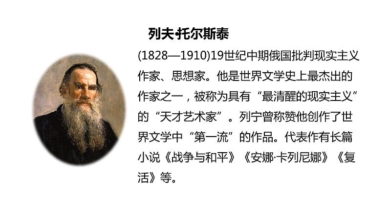 语文统编五(下)第6单元17《跳水》课时1第4页