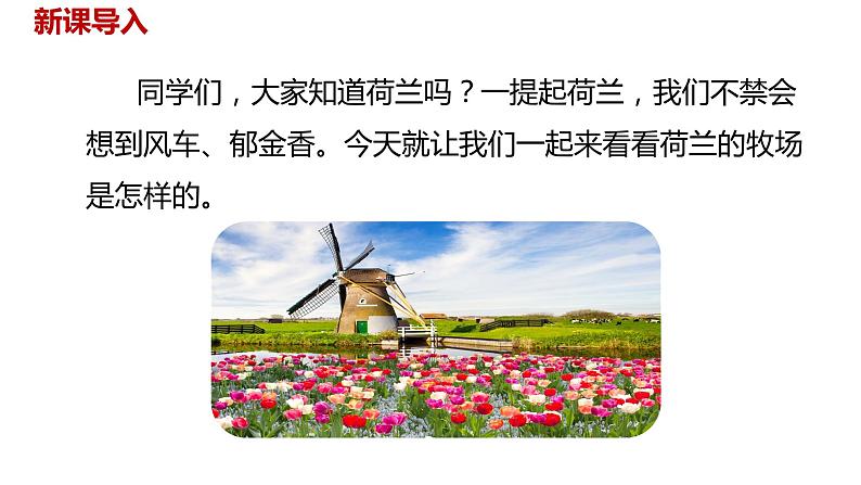 语文统编五(下)第7单元19《牧场之国》课时1第2页