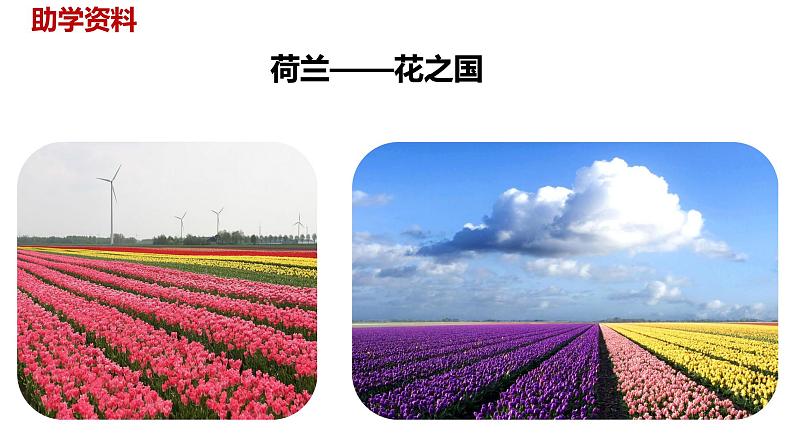 语文统编五(下)第7单元19《牧场之国》课时1第5页